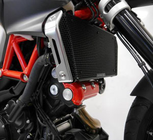 Aprilia Radiator Guards