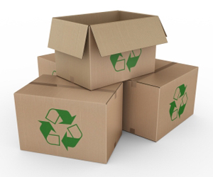 Environmentally Friendly Packaging