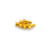 Puig Kit Screws Allen M5X15mm. (Gold)