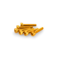 Puig Kit Screws Allen M5X25mm. (Gold)