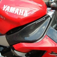 Pyramid Frame Covers | Carbon | Yamaha YZF-R1 1998>2001