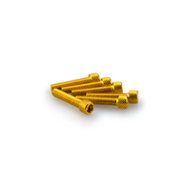 Puig Kit Screws Allen M6X30mm. (Gold)