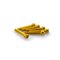 Puig Kit Screws Allen M6X35mm. (Gold)