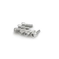 Puig Kit Screws Allen M6X15mm. (Silver)
