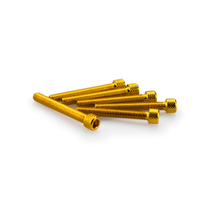 Puig Kit Screws Allen M6X45mm. (Gold)