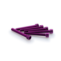 Puig Kit Screws Allen M6X45mm. C/Purple