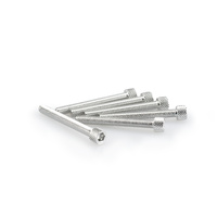 Puig Kit Screws Allen M6X50mm. (Silver)
