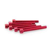 Puig Kit Screws Allen M6X50mm. (Red)