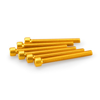 Puig Kit Screws Allen M6X55mm. (Gold)