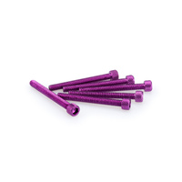 Puig Kit Screws Allen M6X55mm. C/Purple