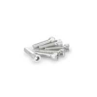 Puig Kit Screws Allen M8X30mm. (Silver)