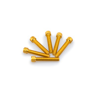 Puig Kit Screws Allen M8X45mm. (Gold)
