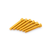 Puig Kit Screws Allen M8X50mm. (Gold)