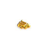 Puig Kit Screws Domed M5X15mm. (Gold)