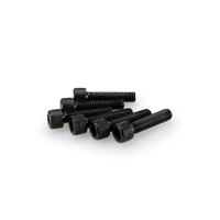 Puig Kit Screws Allen M6X25mm. (Black)