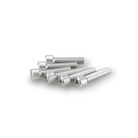 Puig Kit Screws Allen M6X25mm. (Silver)