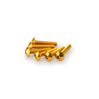 Puig Kit Screws Domed M5X25mm. (Gold)