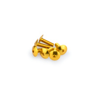 Puig Kit Screws Domed M6X20mm. (Gold)