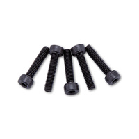 HIGHSIDER M4 SCREW SET F. EVO MIRROR, BLK