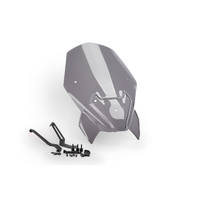 Puig New Generation Touring Screen To Suit BMW F900R 20'- C