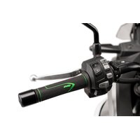 Puig Grips By Pair Puig Core Model (Green)