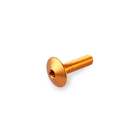 Puig Kit 6 Screws M6X20 Diam. Head 13,9mm (Gold)