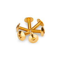 Puig Kit 6 Screws M6X20 Diam. Head 16,8mm (Gold)