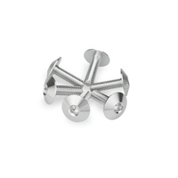Puig Kit 6 Screws M6X20 Diam. Head 16,8mm (Silver)