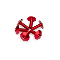 Puig Kit 6 Screws M6X20 Diam. Head 16,8mm (Red)