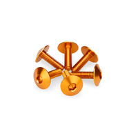 Puig Kit 6 Screws M6X20 Diam. Head 16,8mm (Orange)