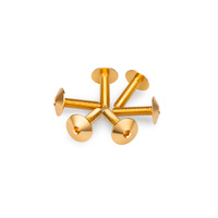 Puig Kit 6 Screws M5X20 Diam. Head 13,9mm (Gold)