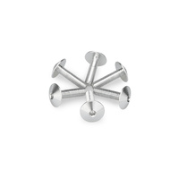 Puig Kit 6 Screws M5X20 Diam. Head 13,9mm (Silver)