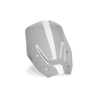 Puig Standard Screen BMW R1300GS 23'- (Smoke)