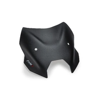 Puig CBRIS. N.G.SPORT BMW R1300R 25' C/MATT BLACK