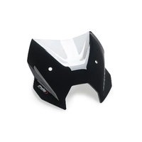Puig CBRIS. N.G.SPORT BMW R1300R 25' C/CLEAR