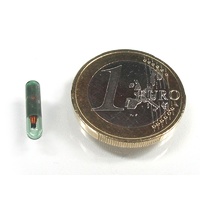 Motogadget m-Lock Key Glass Tube