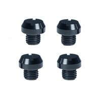 Pyramid Mirror Blanking Bolts | M10 x 8mm | 4 Pack