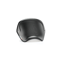 Puig Front Plate BMW R Nine T 14'-18'C/Carbon