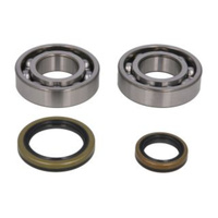 All Balls Racing Crank Shaft Bearing Kit 24-1129