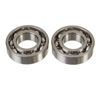 All Balls Racing Crank Shaft Bearing Kit 24-1130