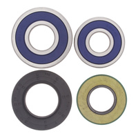 All Balls Racing Wheel Bearing Kit Rear 25-1357