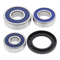 All Balls Racing Wheel Bearing Kit 25-1489