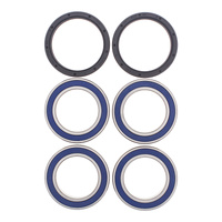 All Balls Racing Wheel Bearing Kit (25-1565)