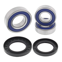 All Balls Racing Wheel Bearing Kit 25-1606