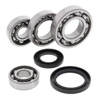 All Balls Racing Differential Bearing & Seal Kit - 25-2017