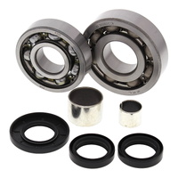 All Balls Racing Differential Bearing Kit 25-2053