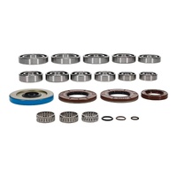 All Balls Racing Transaxle Bearing & Seal Kit 25-2142