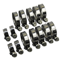 Eazi-Grip Silicone Hose Clamp Kit for Ducati Panigale