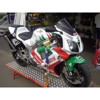 R&G Racing Crash Protectors - Classic Style