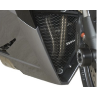R&G Racing Downpipe Grille To Suit Triumph Daytona 675 2013-2016 (Black)